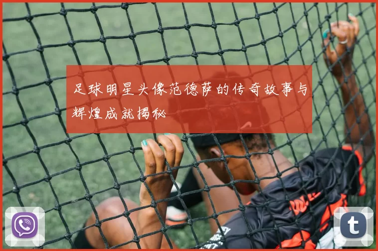 足球明星头像范德萨的传奇故事与辉煌成就揭秘