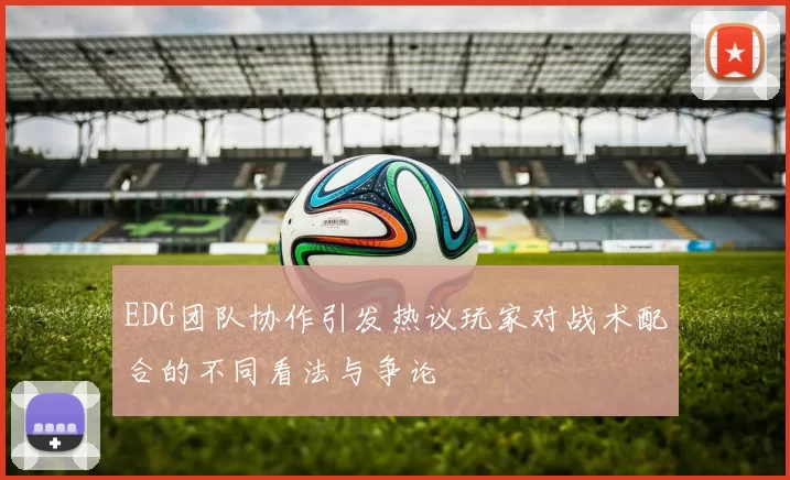 EDG团队协作引发热议玩家对战术配合的不同看法与争论