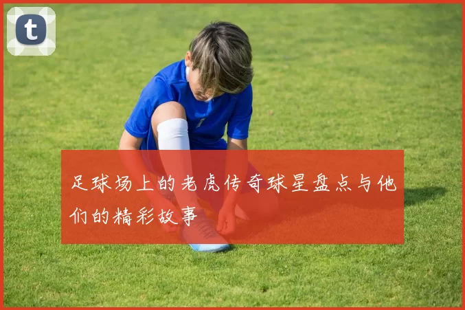 足球场上的老虎传奇球星盘点与他们的精彩故事