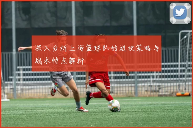 深入分析上海篮球队的进攻策略与战术特点解析