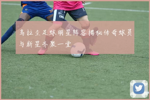 乌拉圭足球明星阵容揭秘传奇球员与新星齐聚一堂