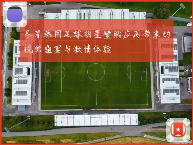 尽享韩国足球明星壁纸应用带来的视觉盛宴与激情体验