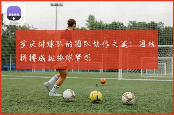 重庆排球队的团队协作之道：团结拼搏成就排球梦想