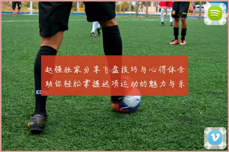 赵强独家分享飞盘技巧与心得体会助你轻松掌握这项运动的魅力与乐趣