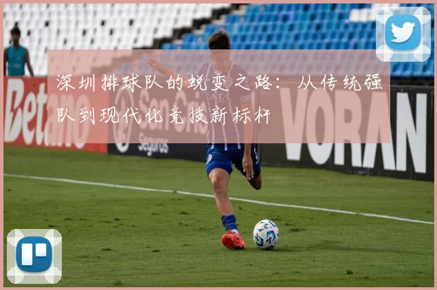 深圳排球队的蜕变之路：从传统强队到现代化竞技新标杆