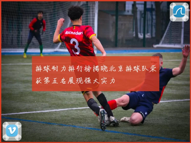 排球耐力排行榜揭晓北京排球队荣获第五名展现强大实力