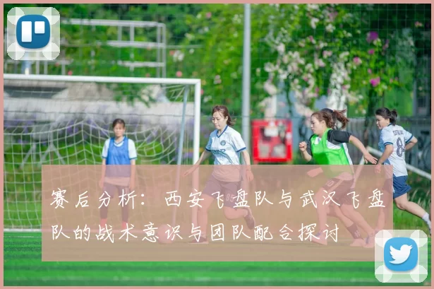 赛后分析：西安飞盘队与武汉飞盘队的战术意识与团队配合探讨