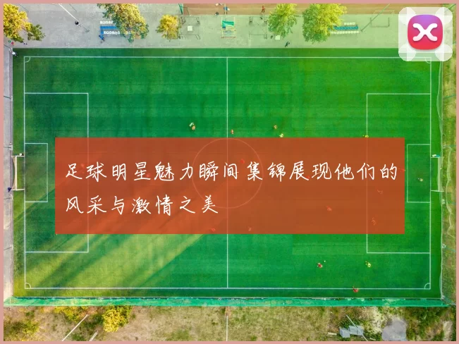 足球明星魅力瞬间集锦展现他们的风采与激情之美