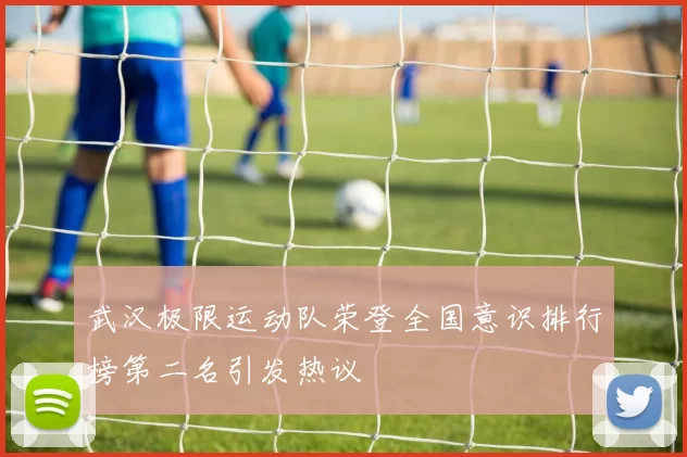 武汉极限运动队荣登全国意识排行榜第二名引发热议
