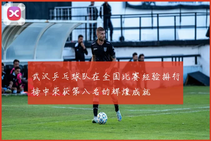 武汉乒乓球队在全国比赛经验排行榜中荣获第八名的辉煌成就